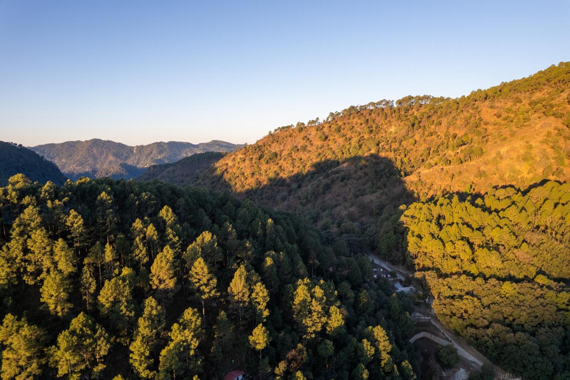 The Canadian Woods Resort Nainital Esterno foto